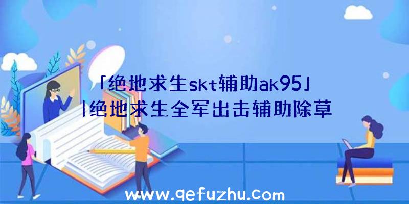 「绝地求生skt辅助ak95」|绝地求生全军出击辅助除草